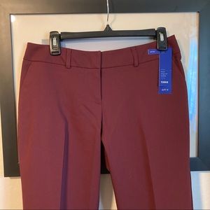 Curvy Straight Burgundy wine Pants